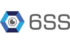 6SS Logo