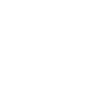 Automated Tunnel Security Systems icon