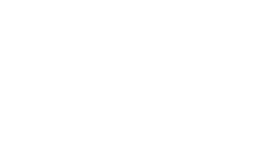 vidar speed detection camera - online and offline modes