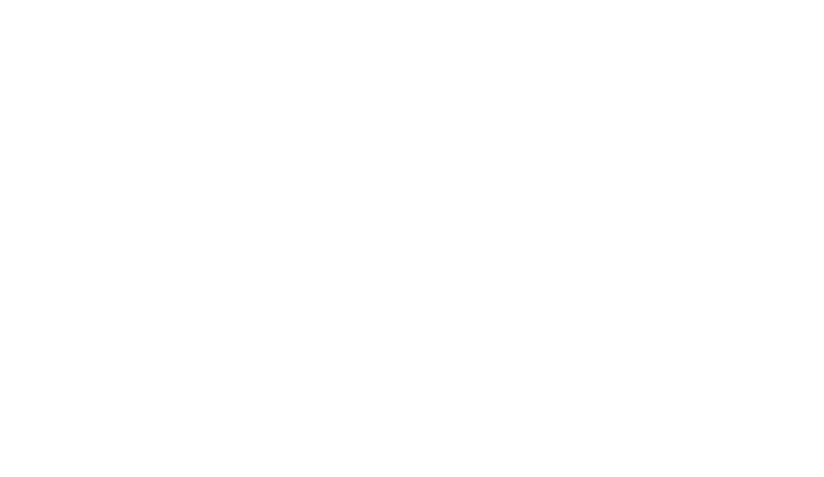 lynet mobile anpr/lpr camera software onboard ANPR