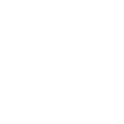 einar anpr lpr vehicle access control camera API and ONVIF icon