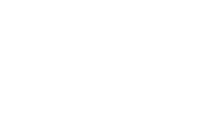 VIZ OCR & Authentication passport reader software - wide range of supported ID types