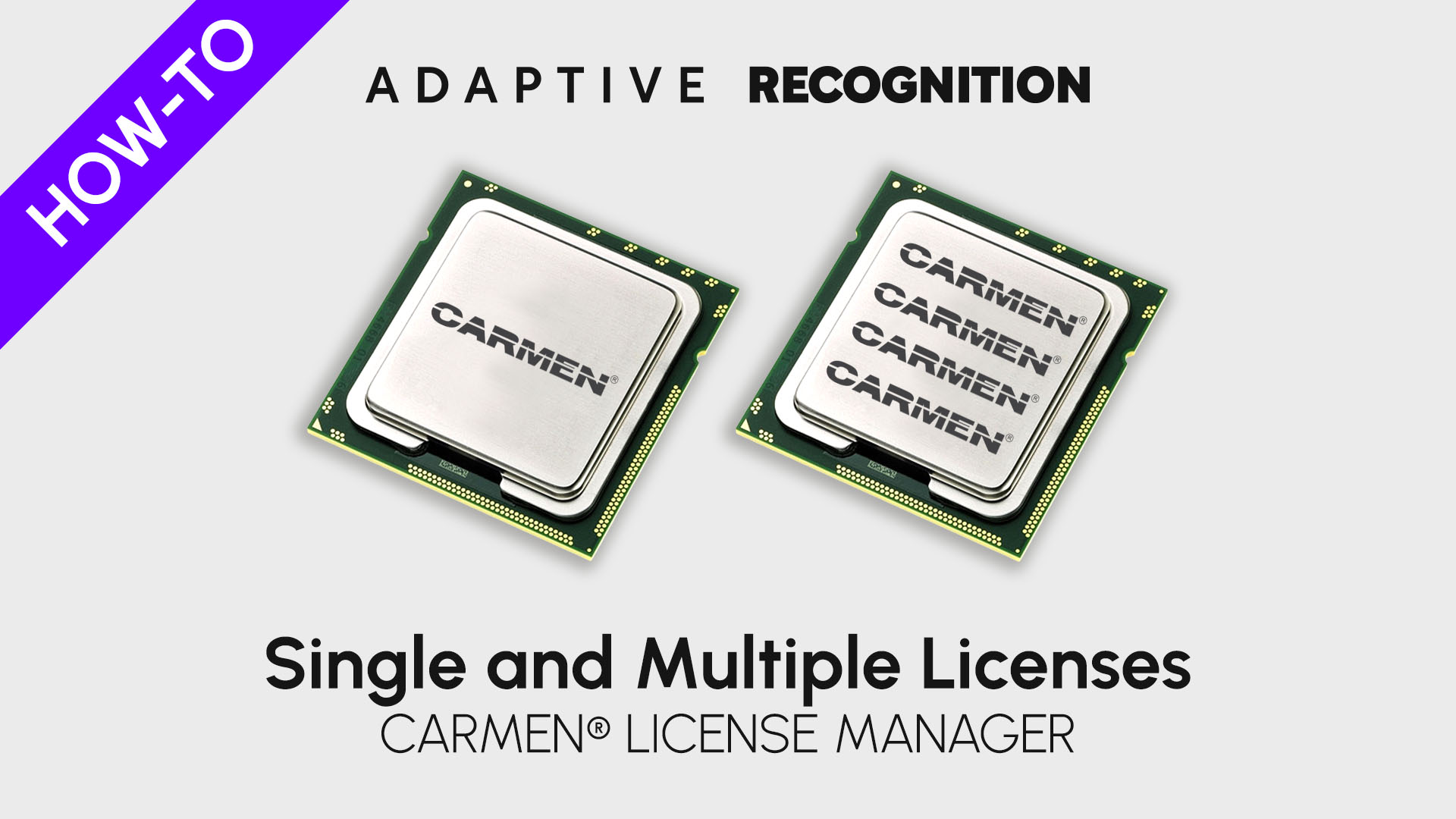 Carmen ANPR/ALPR software license manager - Single and Multiple Licenses