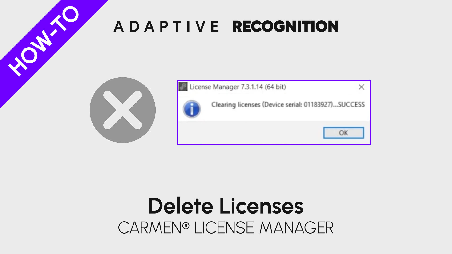 Carmen ANPR/ALPR software license manager - Delete licenses