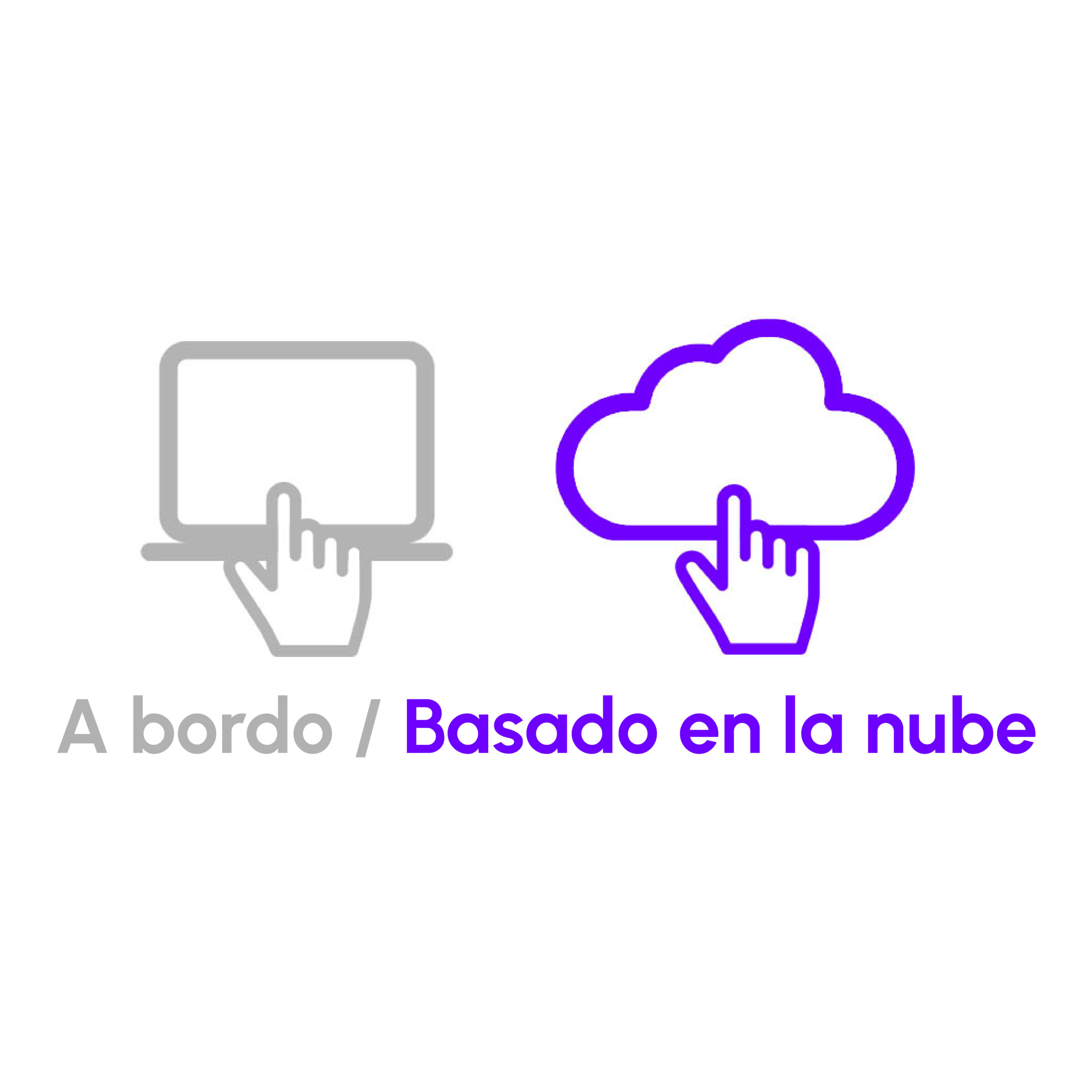 carmen worker on-premise recognition software / on-board vs. cloud-based